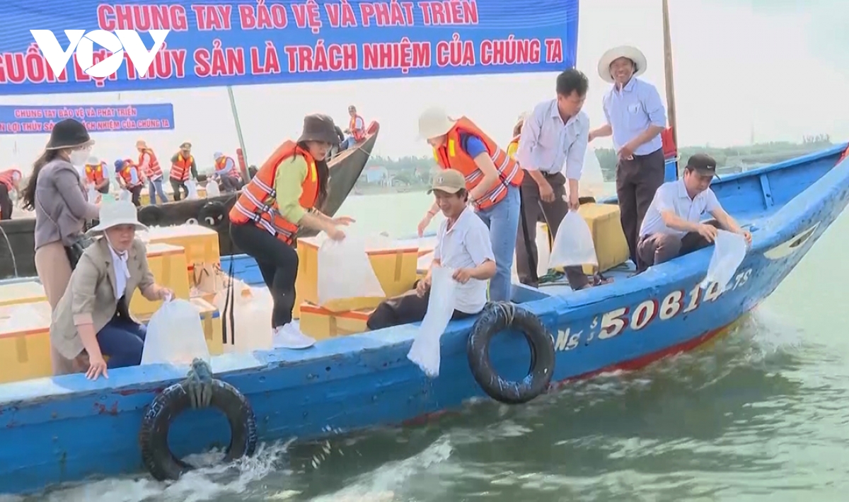 Quảng Ngãi triển khai nhiều giải pháp bảo vệ nguồn lợi thủy sản